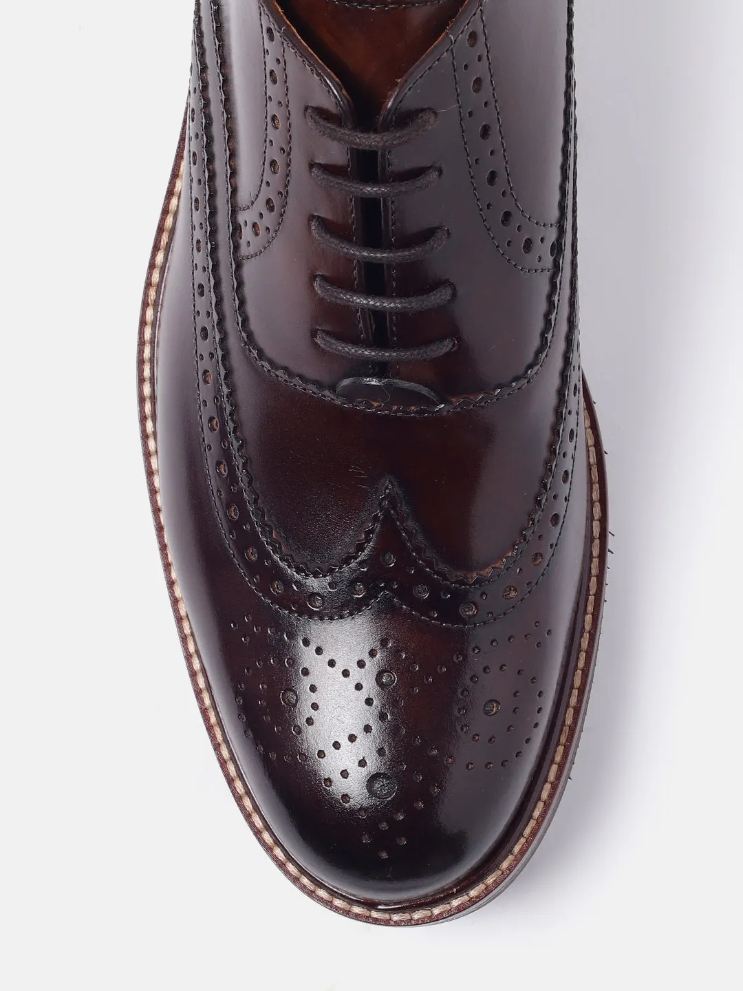 ARISTA LONGWING BROGUE
