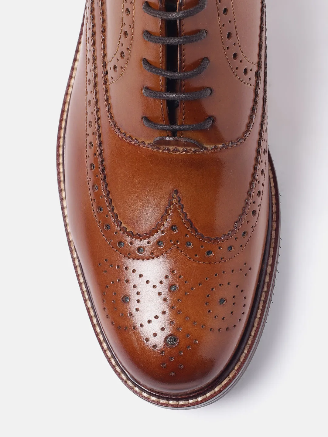 ARISTA LONGWING BROGUE