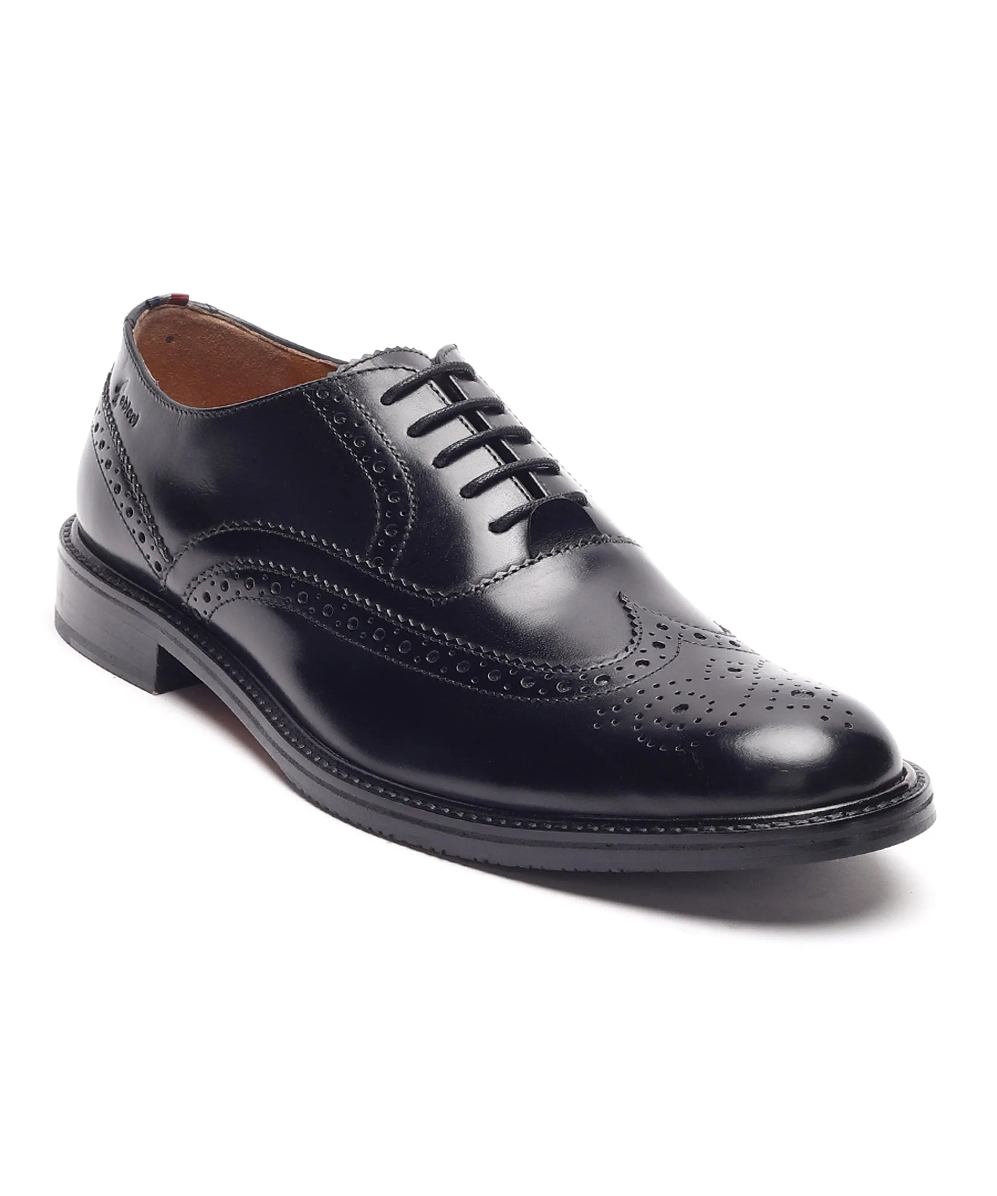 ARISTA LONGWING BROGUE
