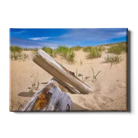 Destination - Cape Cod Sand Dune
