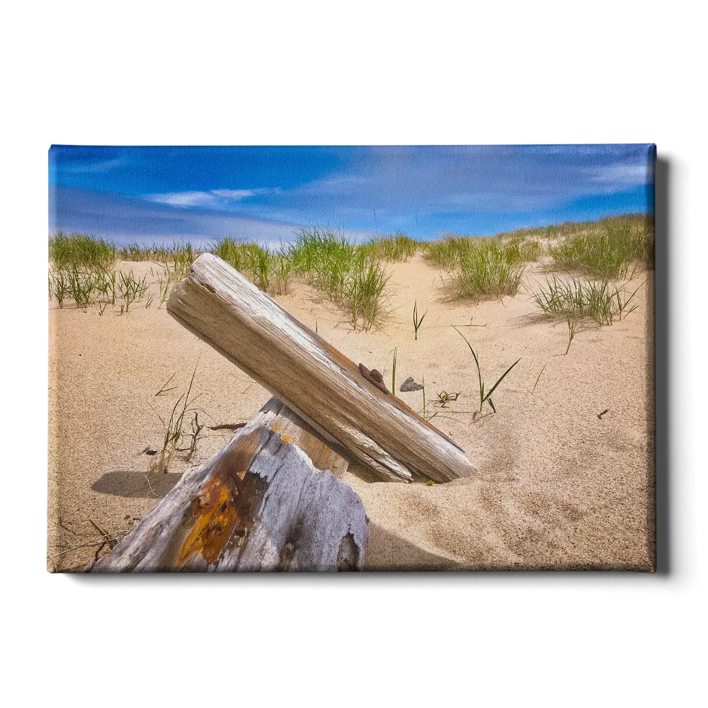 Destination - Cape Cod Sand Dune